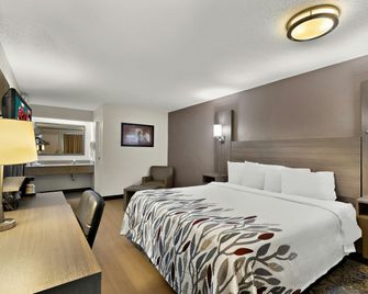 Red Roof Inn Cleveland - Westlake - Westlake - Bedroom