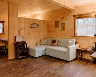 Cozy Cabin with private woods in charming Rock Stream NY. - Rock Stream - Living room
