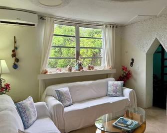 Castle MacMillan-Hughes, a beautiful home in Tarpum Bay, Eleuthera - Tarpum Bay - Living room