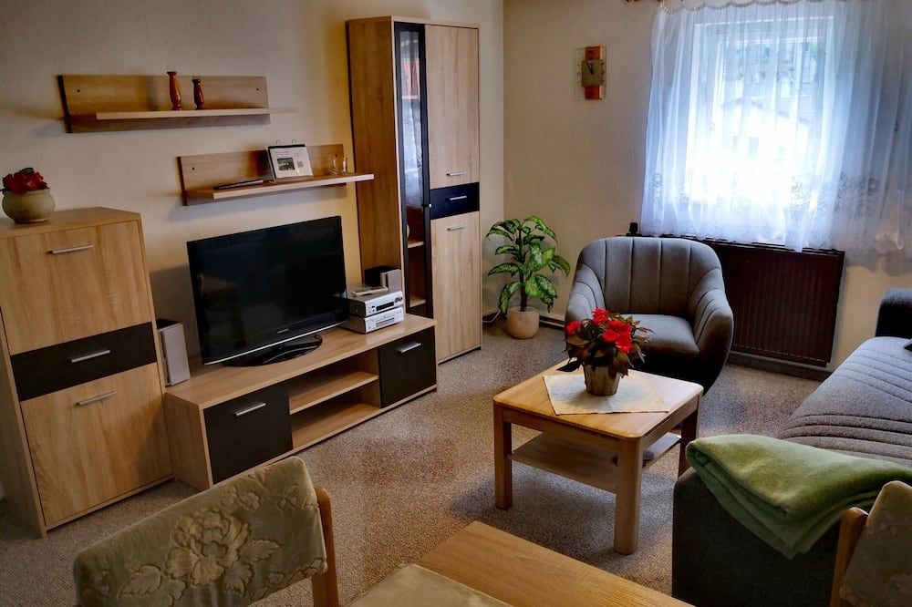 Spacious vacation apartment (47 m2) for 1-3 people - درسدين - غرفة معيشة