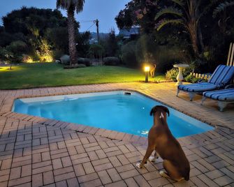 113 أون روبيرج - بليتينبرغ باي - حوض السباحة