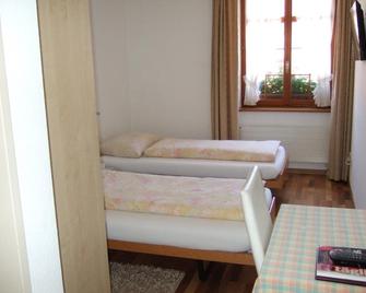 Gasthaus zur Sonne - Dornach - Bedroom