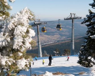 Elements Hotel&Spa - Świeradów-Zdrój - Servicio de la propiedad