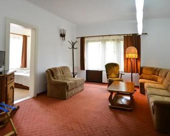 Casa Transilvania - Satu Mare - Sala de estar