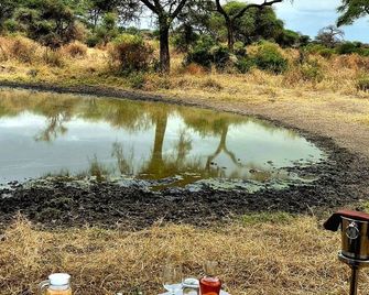 Tarangire Greenland Retreat - Kaiti