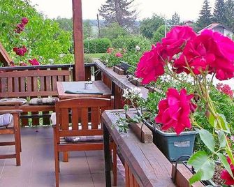 克里斯迪克公寓式酒店 - 拉科維察 - 天井