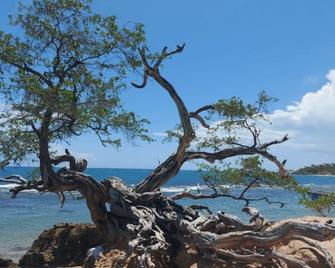 Ocean-View Apartment At Villamerissa 4 Br/4 Bath. Walk To Beach, Jacksprat - Treasure Beach