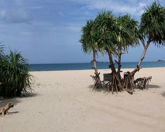 Nagenahira Beach Villa - Trincomalee - Strand
