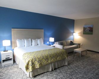 Best Western Decatur Inn - Decatur - Slaapkamer