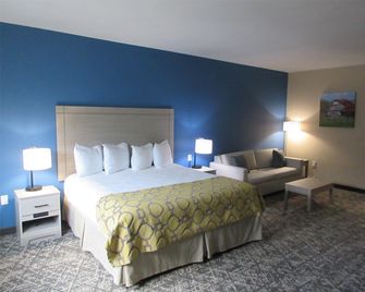 Best Western Decatur Inn - Decatur - Спальня