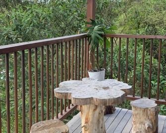 Montana Eco Hotel - Santuario - Balcón