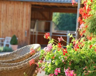 Vacation In The Bavarian Forest Paradise - Haibach (Lower Bavaria) - Patio