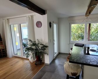 Ferienwohnung Schwarzwald-Traum - Haslach im Kinzigtal