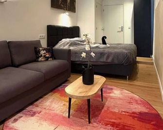 Stylish studio in the heart of Breda city center - Breda - Huiskamer