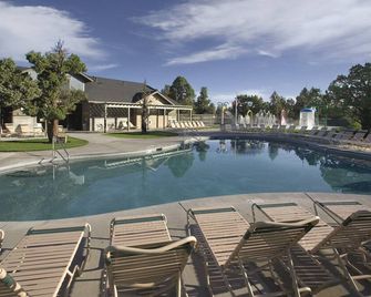 World Class Fun And Excitement ! - Redmond - Pool