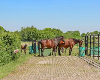 Awesome home in Udenhout with WiFi - Udenhout