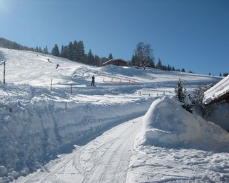 Beautiful chalet/ holiday home/in the mountains/ski slope of Kitzbühel - Kirchberg in Tirol - Prestation de l’hébergement