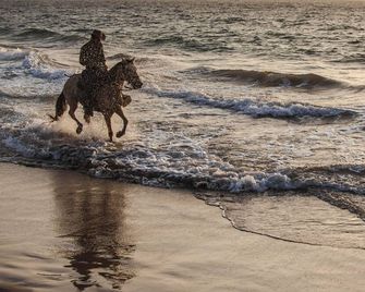 Blue Apple Beach - Tierra Bomba