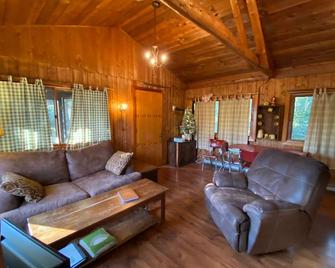 Secluded Mountain Cabin, Lakefront, Hiking, Fishing, Relaxing - Syria - Living room