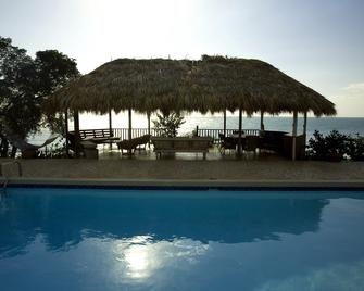 Jakes - Treasure Beach - Басейн