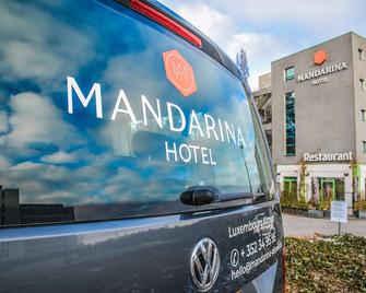 ماندارينا لوكسمبرج أيربورت هوتل - Senningerberg - وسائل الراحة في مكان الإقامة