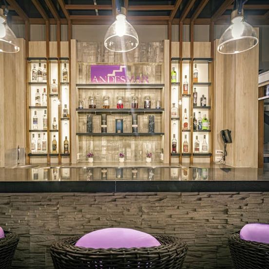 Bar view of Hotel Andesmar