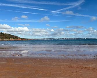 Three palms - Paignton - Beach