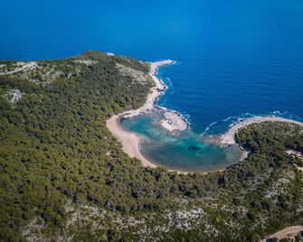 Boutique Pine Tree apartments - Saplunara