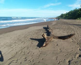 Miss Junies Lodge - Tortuguero - Strand