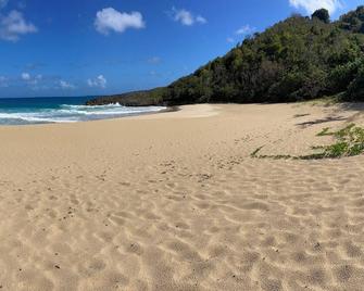 Living Your Best Life in beautiful Tortola - Road Town - Plage