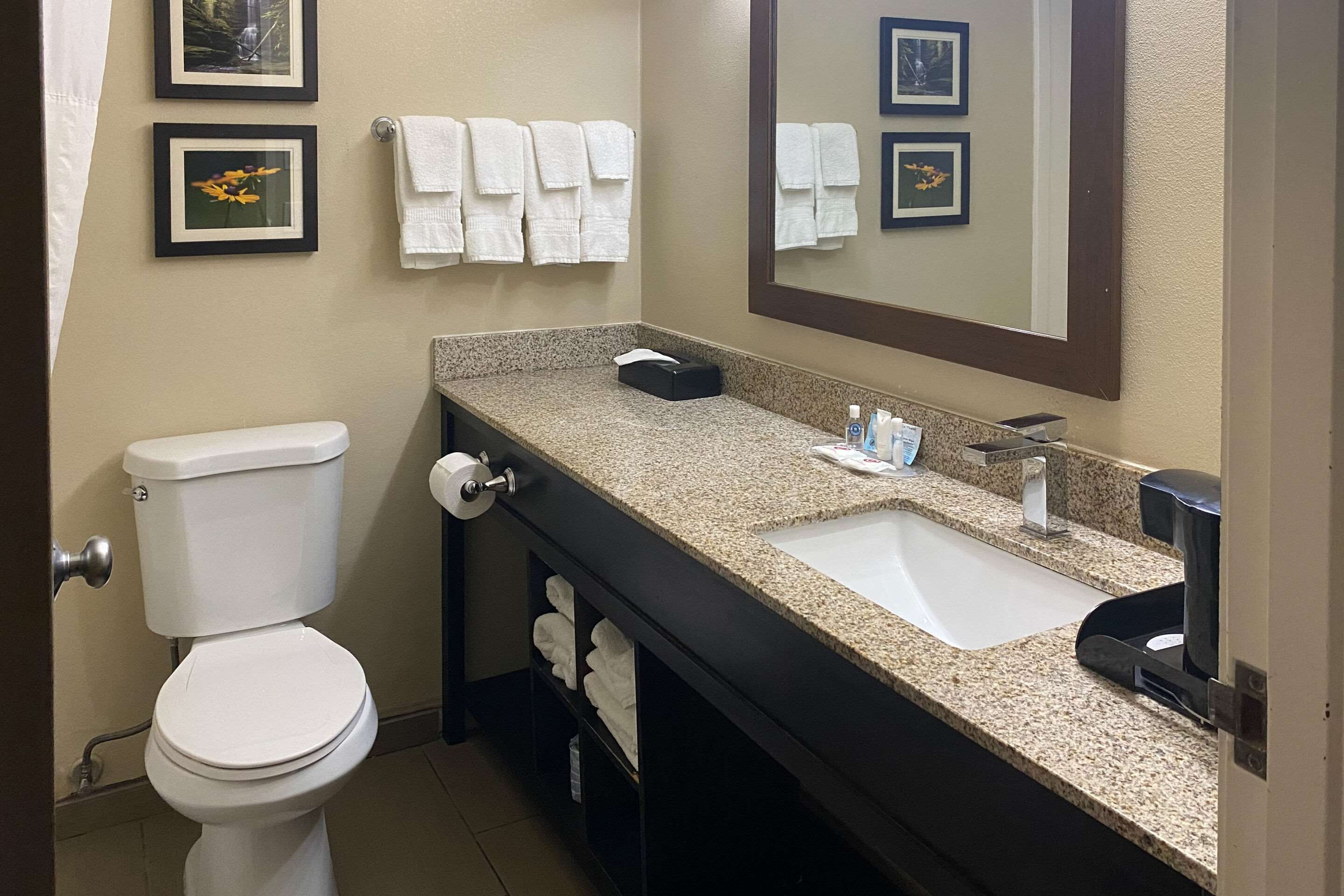 Bathroom view of Comfort Suites Peoria I-74