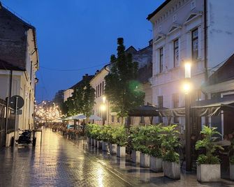 Fullton Central - Cluj - Vista del exterior
