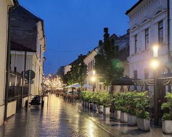 Fullton Central Inn - Cluj - Vista del exterior