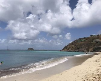 Splendide Loft 60 m2 vue mer et Piscine, Plage à Pied - Anse-Marcel - Strand