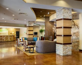 Holiday Inn San Antonio Seaworld By IHG - San Antonio - Lobby