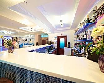 Vladimir Plaza - Brjansk - Rezeption