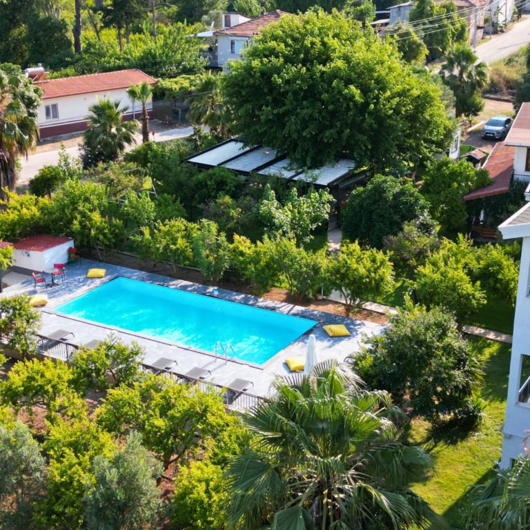 نارسيسيجي أوتل