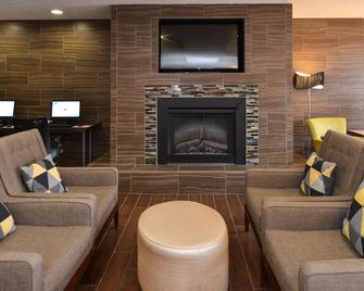 Holiday Inn Express & Suites Omaha West - Omaha - Living room