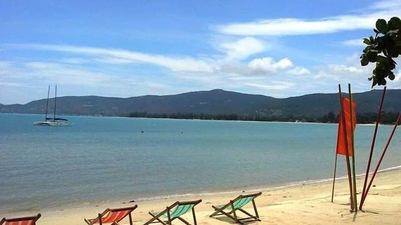 ثينك آند ريترو كافيه ليبا نوي ساموي