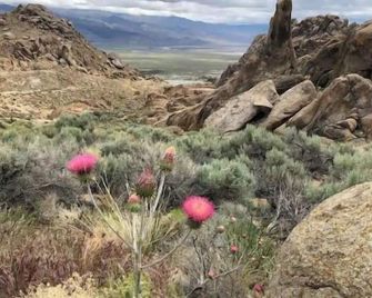 Magical Property In The Alabama Hills - Hot Tub - Lone Pine - Vista esterna