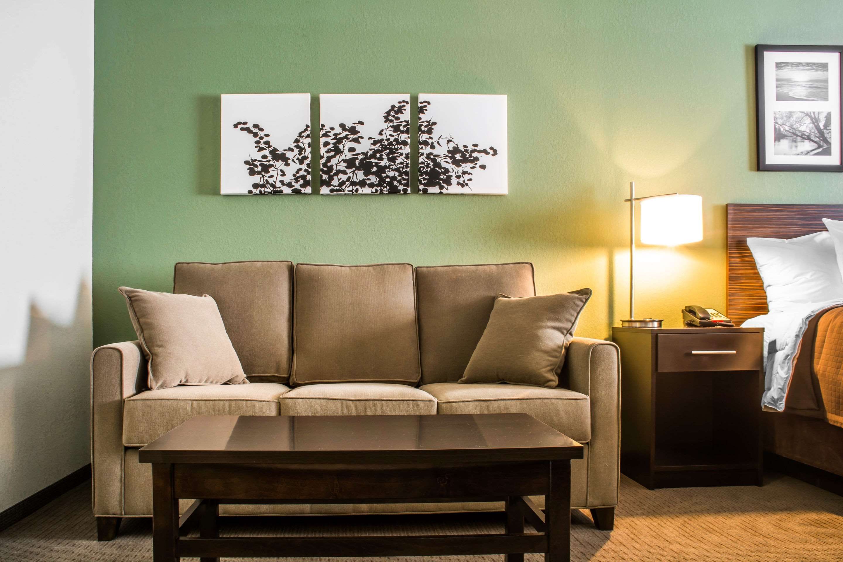 Sleep Inn & Suites Syracuse Airport - East Syracuse - Living room