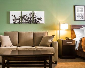 Sleep Inn & Suites Syracuse Airport - East Syracuse - Living room