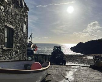 Cadgwith Cove Inn - Helston