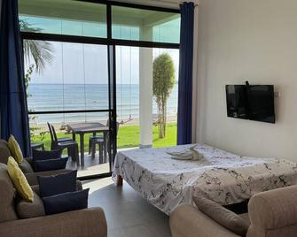 Bamboobeachvilla1 New Oceanfrontpoolsunsetviewkitchen Starlink Sat Upto6guest - Dimiao - Habitación