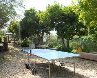 Vale da Silva Villas - Homes - Albergaria a Velha - Patio