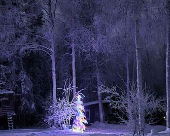 Borealis Bungalow and Hot Tub - Fairbanks
