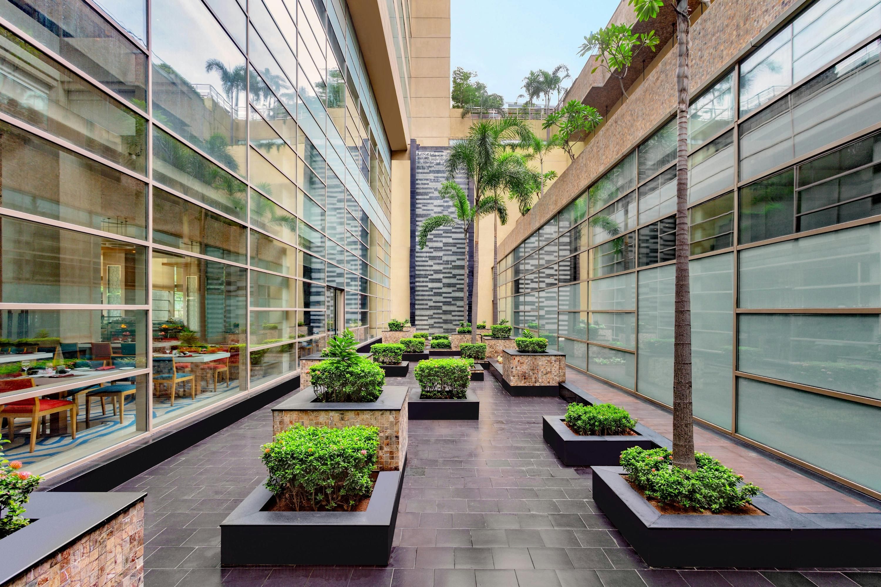 ذا ويستن شيناي فيلاشيري