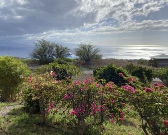 Studio Kohala Big Island Ocean View - Waimea (Big Island) - Widok na zewnątrz