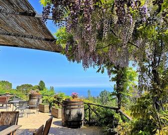 Alberto's Mt.Etna B&B - Zafferana Etnea - Patio
