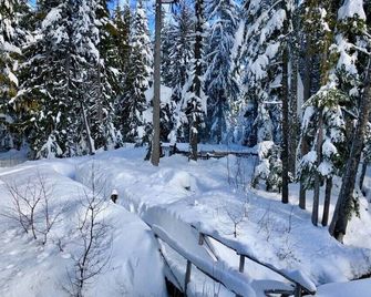 Luxury Mountain Chalet -- Full Condo Available - Government Camp - Prestation de l’hébergement